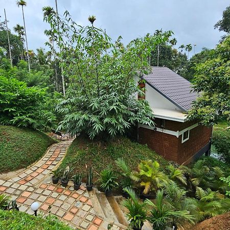 Casta Wild Resort Batheri Esterno foto