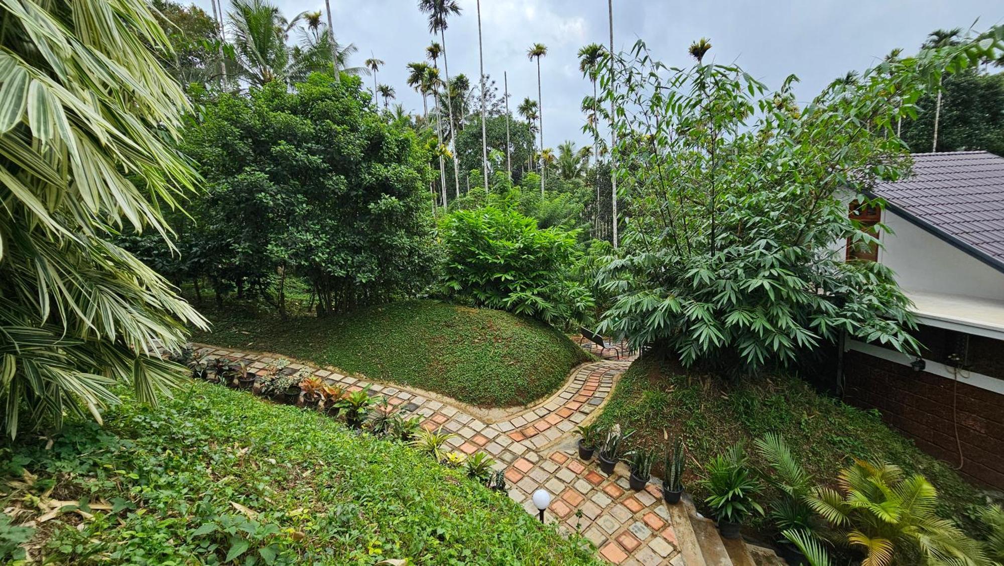 Casta Wild Resort Batheri Esterno foto